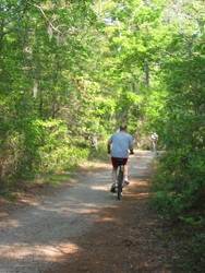 2-virginia-beach-trails